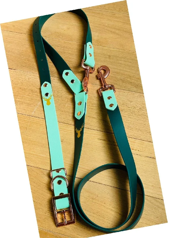 ### General pet accessoriesBiothane dog collar and leash set for medium to large dog