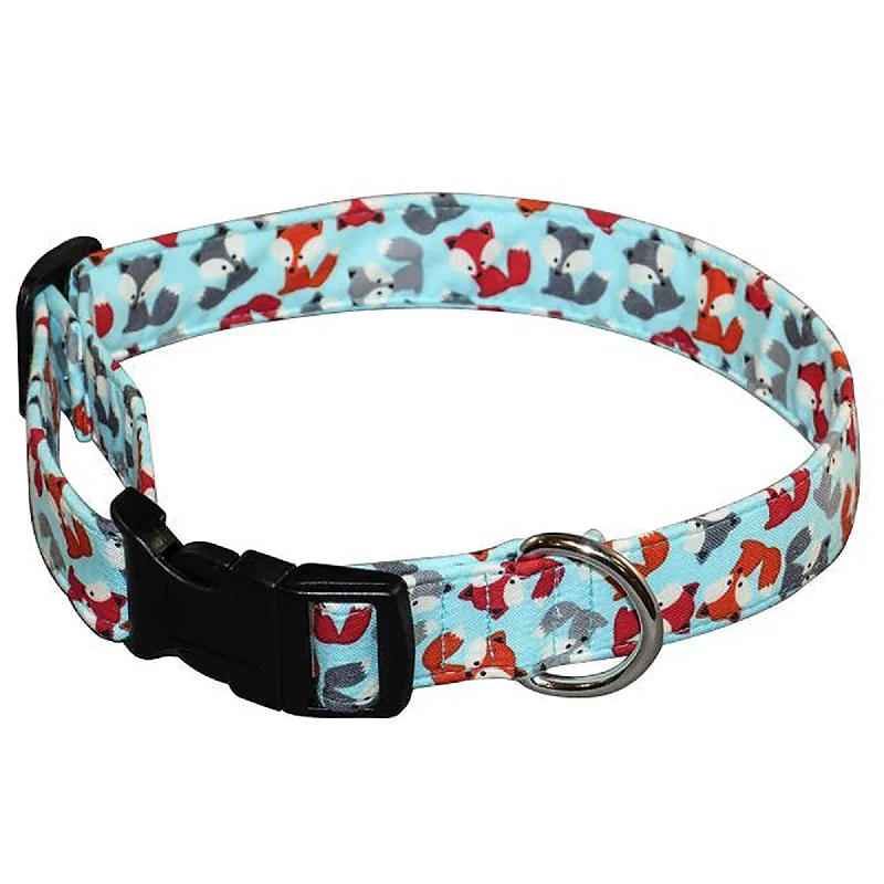 - Rabbit grass rack to prevent waste food boxCuteFoxes Dog Collar