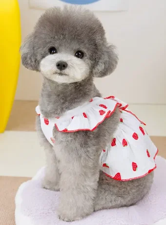 Pet anti-allergic clothesWhite Strawberry Summer Dress