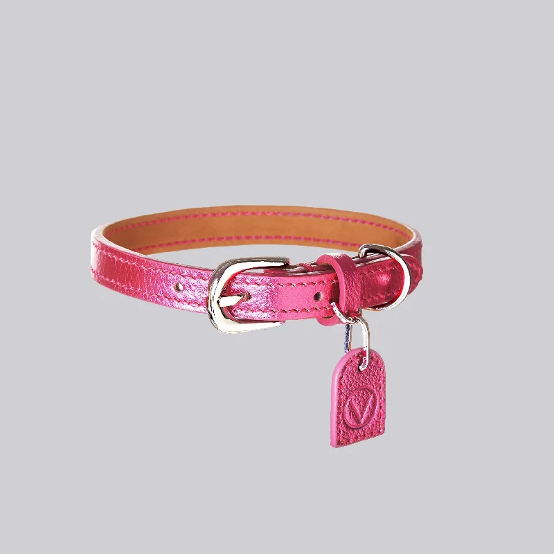  . **Dog paw cream is winter**Gloss Collar