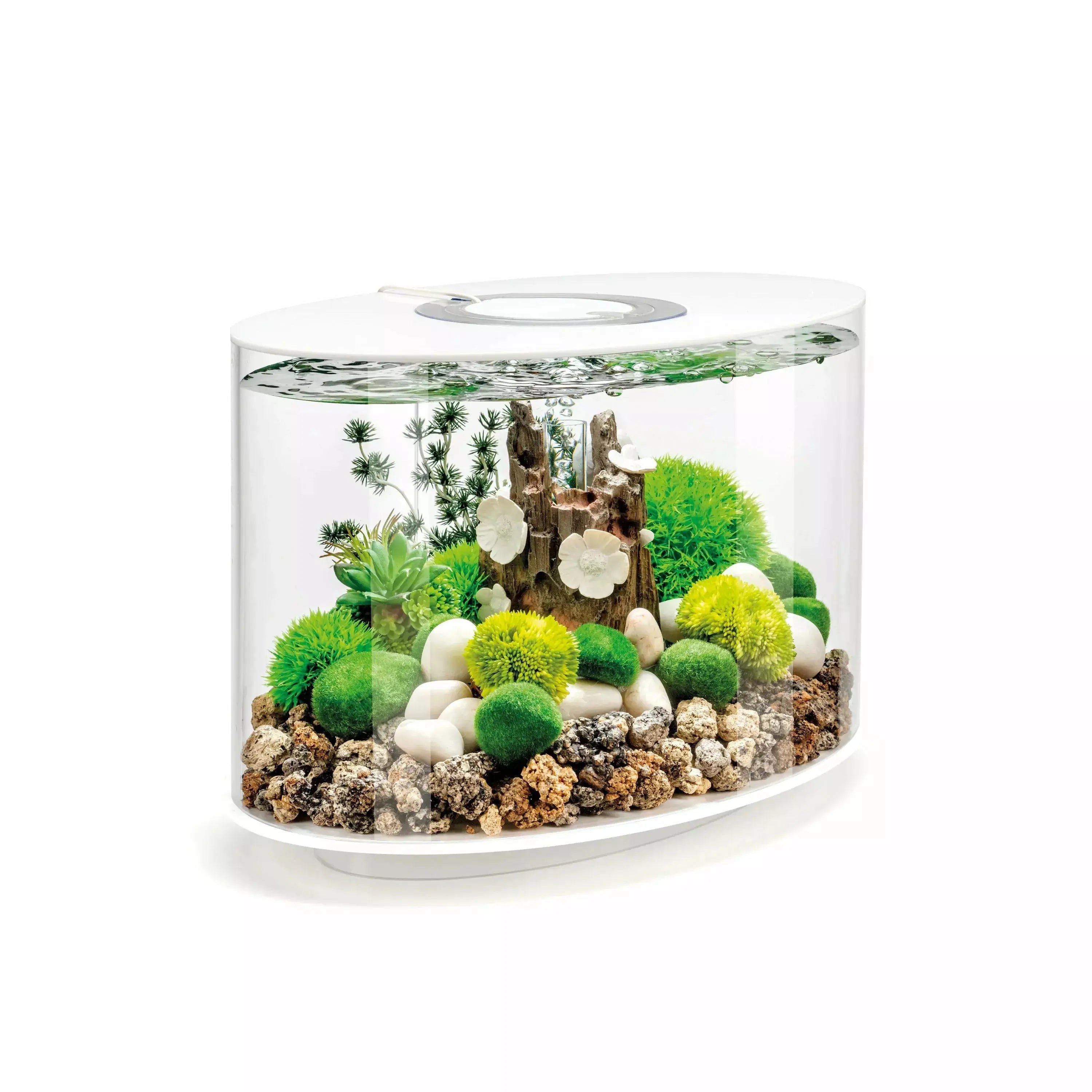  -Non-contact cat thermometerbiOrb LOOP 15 Aquarium with Standard Light  4 gallon