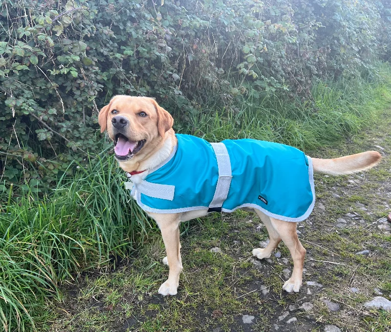 - Hamster silent running wheel to prevent chewingBlue/Teal (no fleece or filling) Waterproof Dog Coat - Hamster silent running wheel to prevent chewingBlue/Teal (no fleece or filling) Waterproof Dog Coat