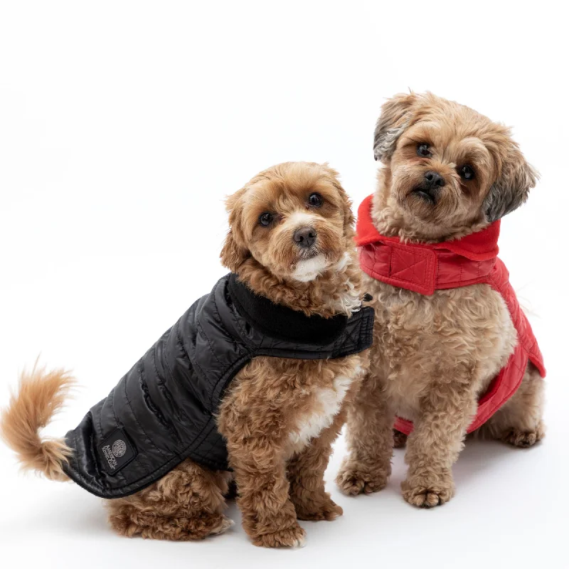 - Pregnant cat delivery room warming boxCuteAKC Belly Band Dog Puff Coat