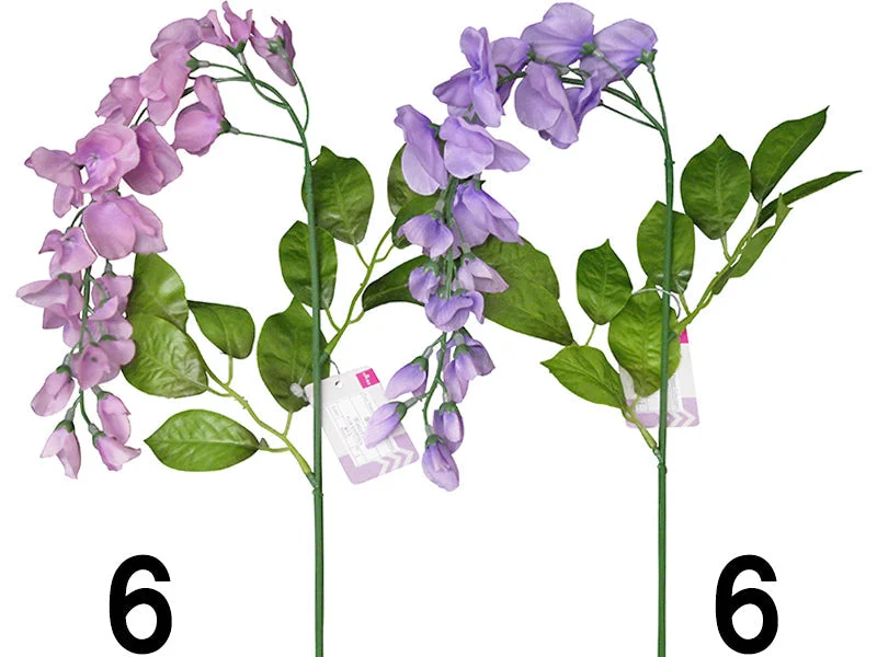  -Non-contact cat thermometerWisteria