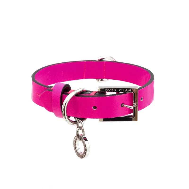  . **Pet nail clippers with LED lights**Premium Leather Collar