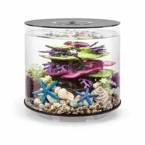- Rabbit grass rack to prevent waste food boxbiOrb TUBE 15 Aquarium with MCR Light  4 gallon
