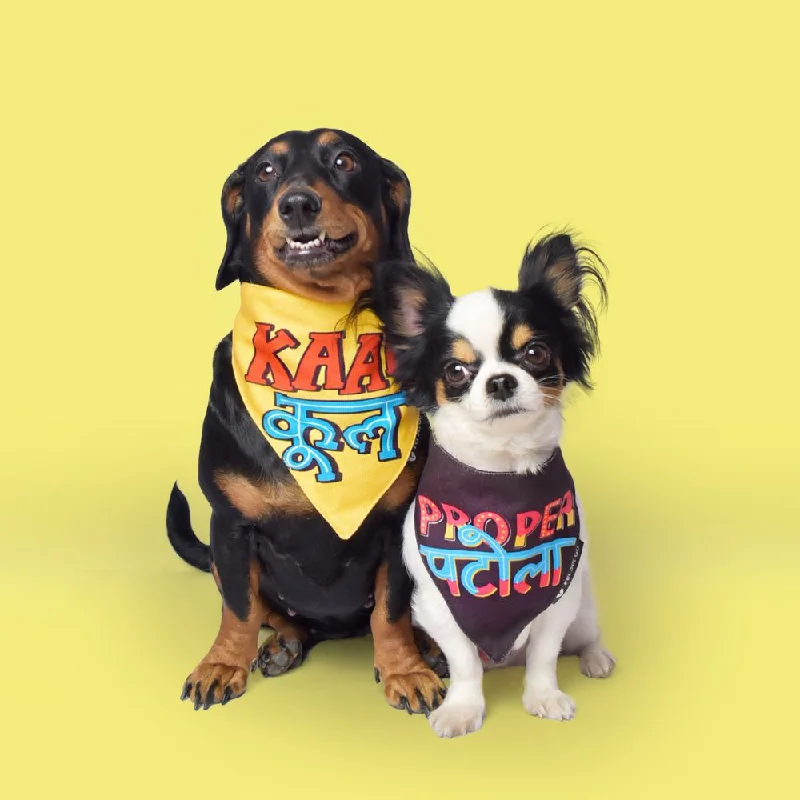 - Pet tear stain cleaning wipesKaafi Cool Dog Bandana