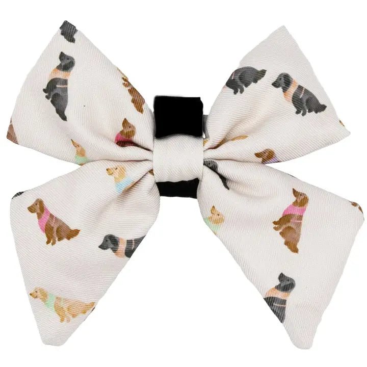 Small dog clothesLoyal Labrador Collar Slider