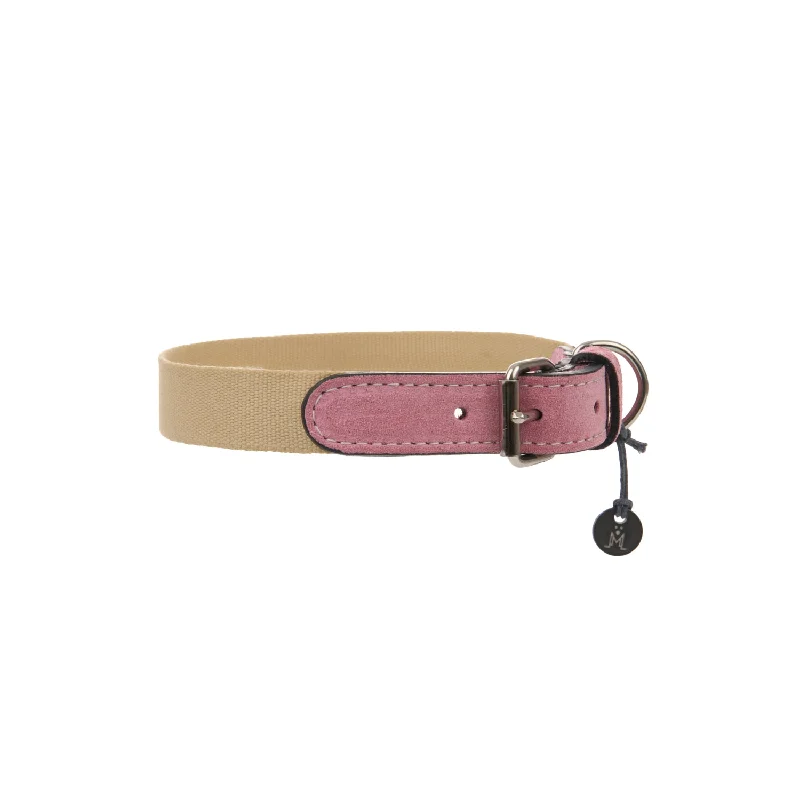  . **Cat backpack space capsule**Baseball Dog Collar