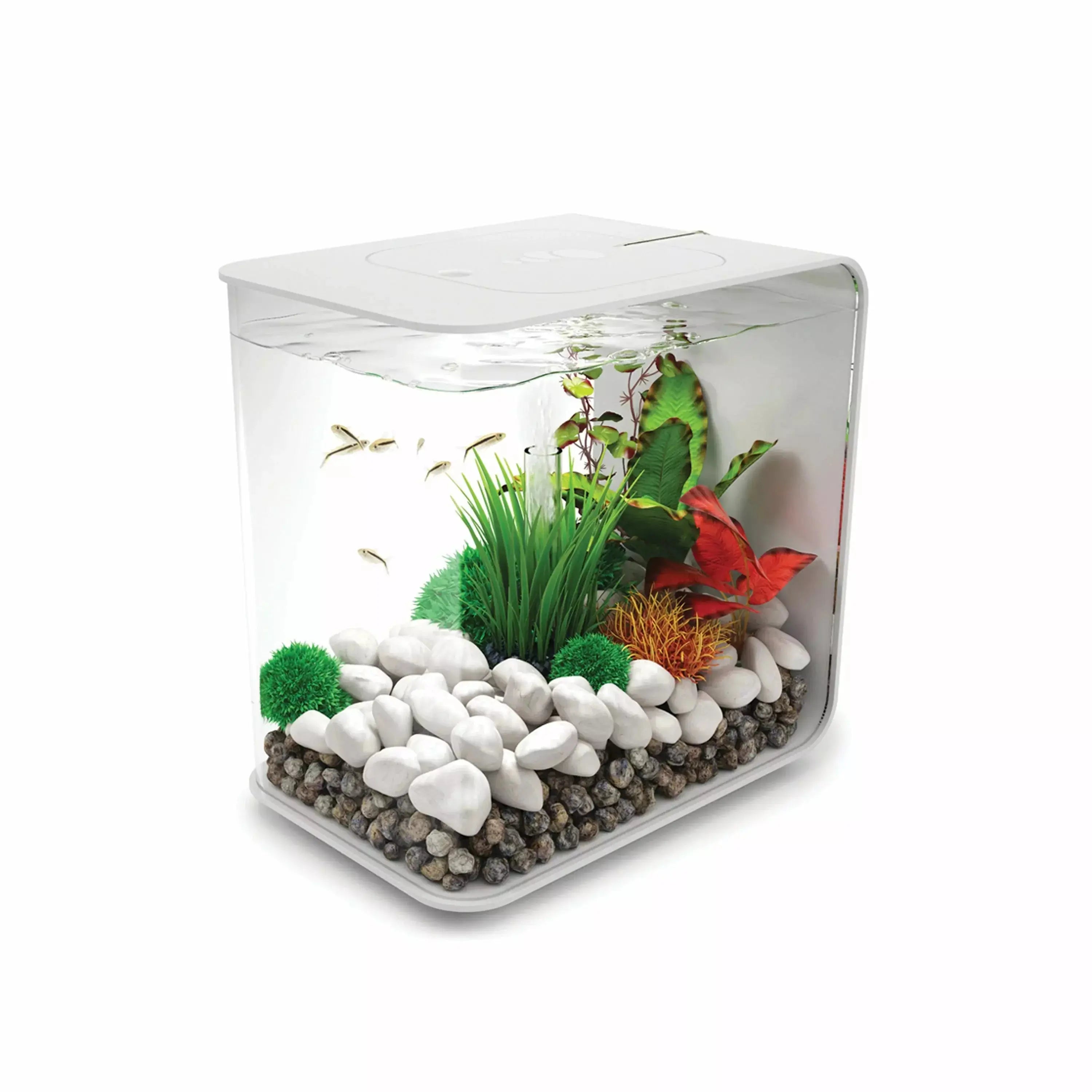 - Cat stress soothing spraybiOrb FLOW 15 Aquarium with Standard Light 4 gallon