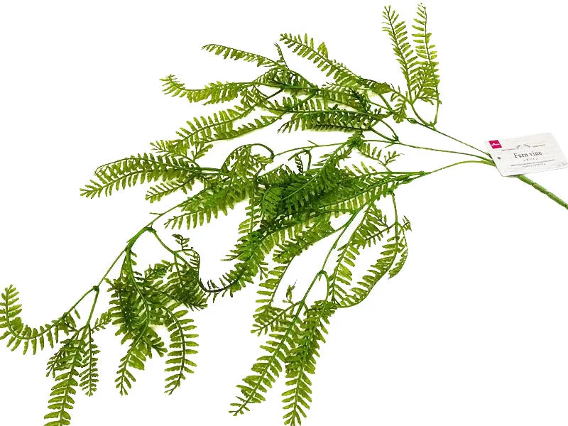 - Pet smart GPS locatorFern vine