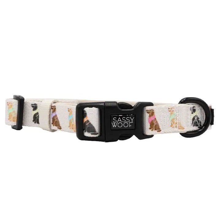 Classification by season or weather:Loyal Labrador Collar