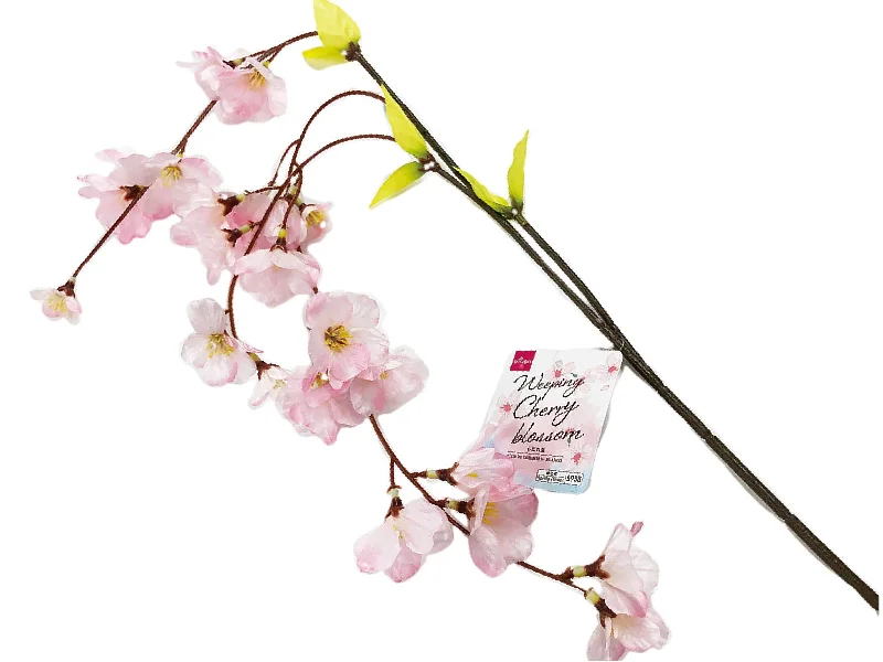 - Pregnant cat delivery room warming boxWeeping Cherry blossom - White -