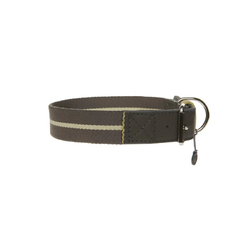 Pet accessoriesPencil Dog Collar
