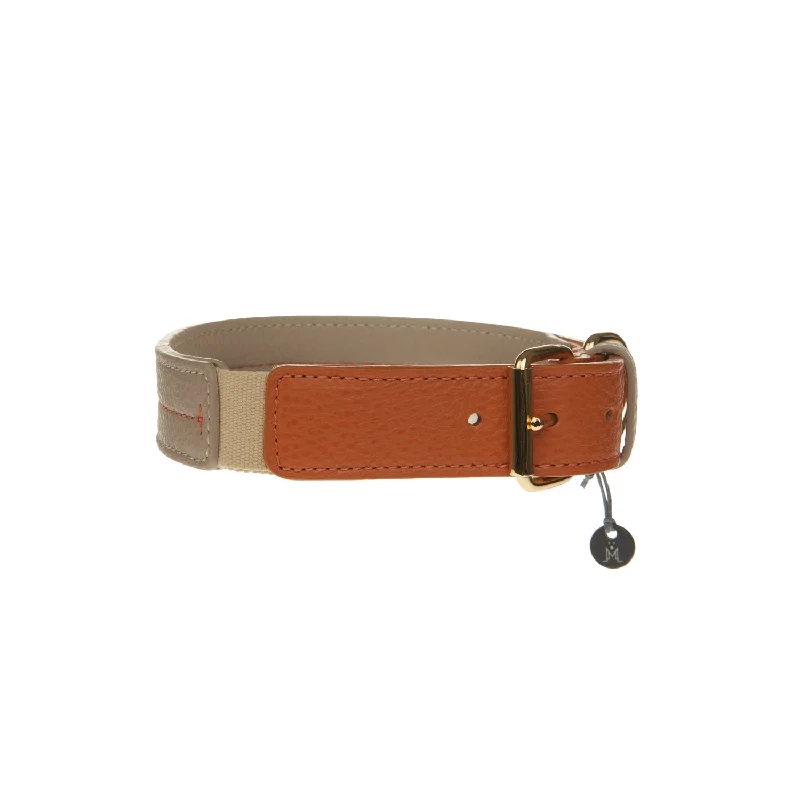  . **Dog raincoat is waterproof and windproof**Bauhaus Dog Collar