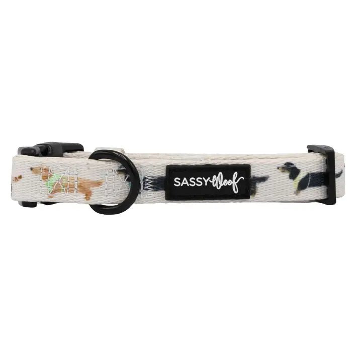 Non-toxic pet clothesDainty Dachshunds Collar