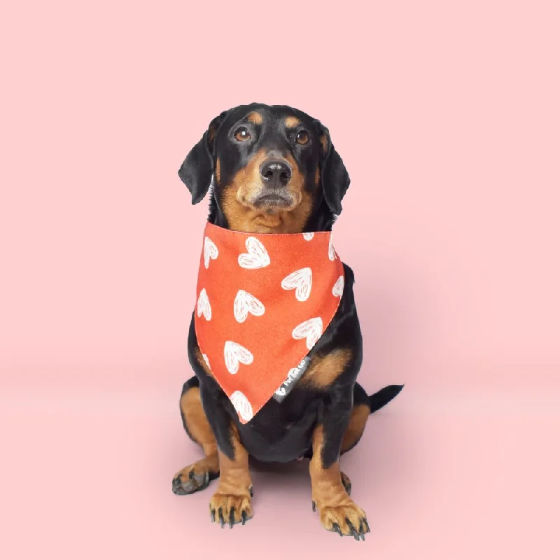 - Parrot climbing and standing wooden frameAll Hearts Dog Bandana