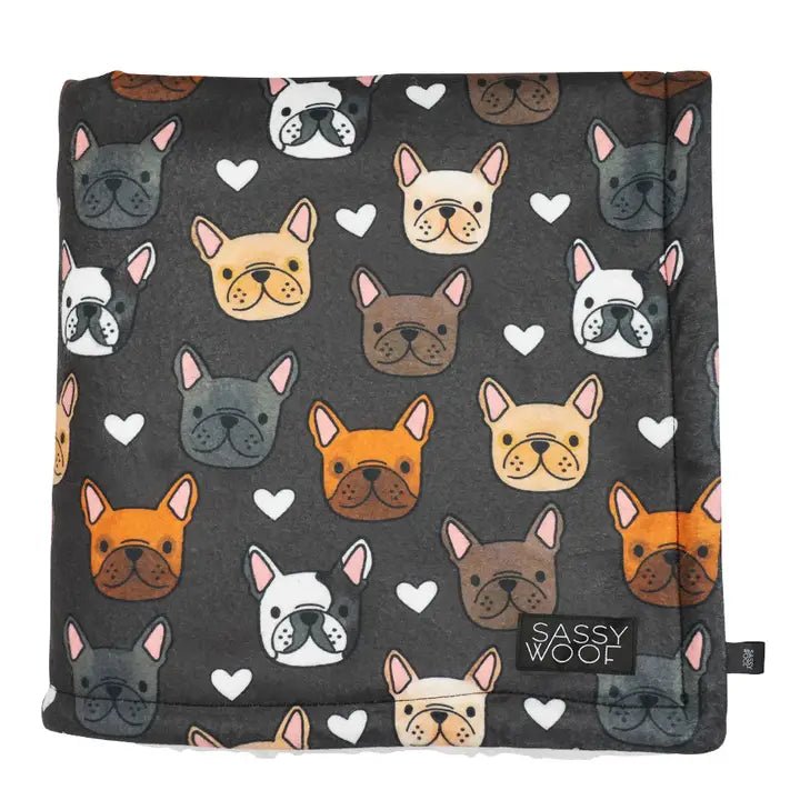Pet walking leash setDog Blanket - Fab Frenchies