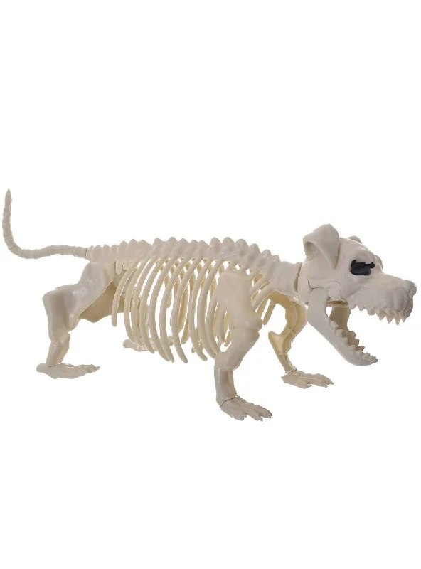 - Pet diabetes prescription foodSkeleton Bull Terrier Dog Halloween Decoration