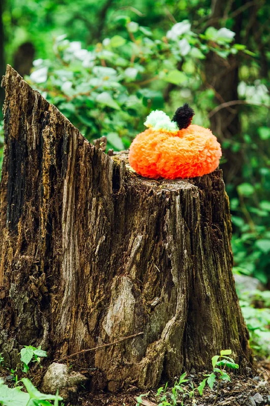 - Deodorizing cat litter tofu litterFuzzy Pumpkin (Crochet)