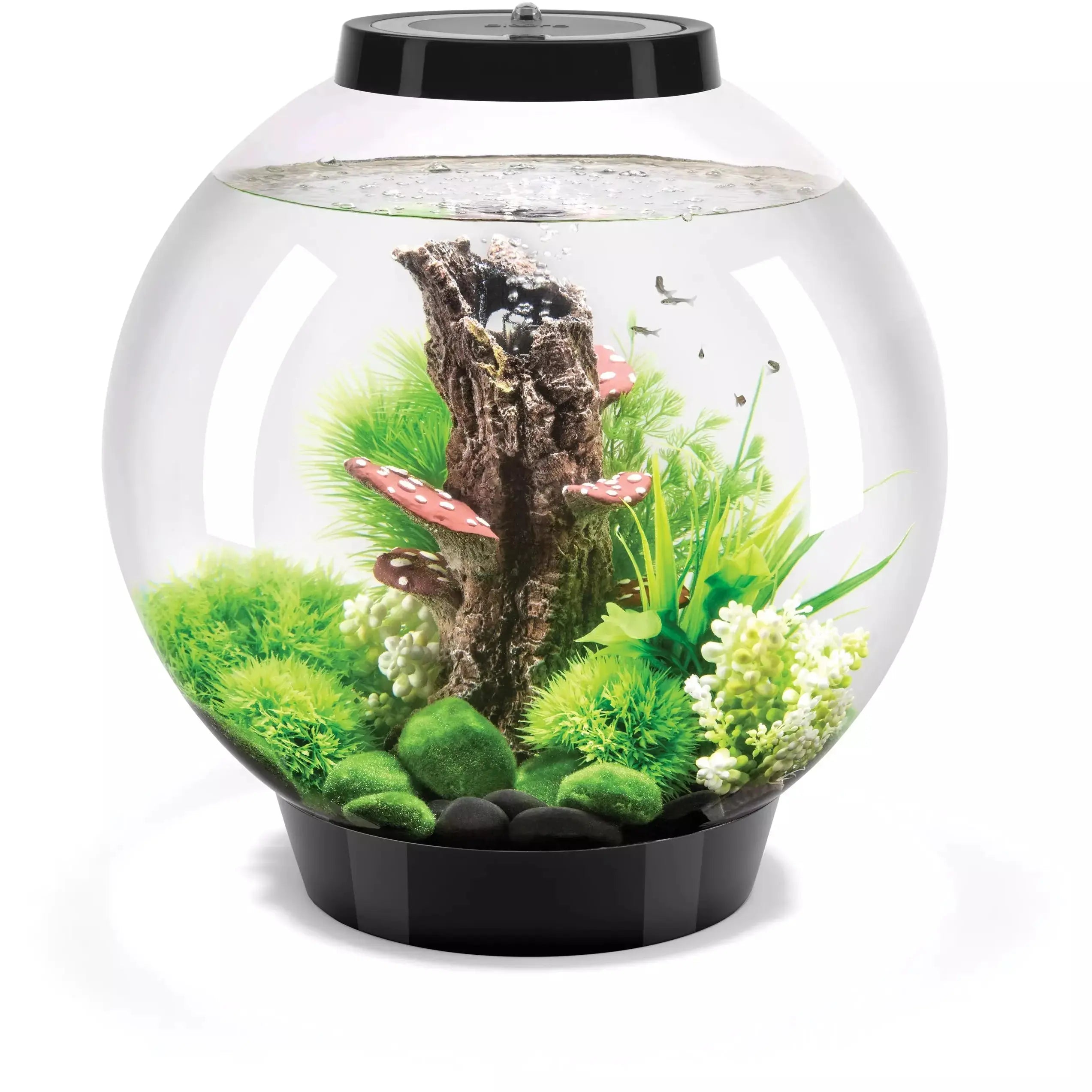 - Pet stroller can be taken on the planebiOrb CLASSIC 30 Aquarium with MCR Light 8 gallon