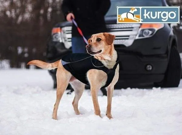 - Pet fence foldable indoorCuteWaterproof North Country Dog Coat with LED Safety Light - Pet fence foldable indoorCuteWaterproof North Country Dog Coat with LED Safety Light