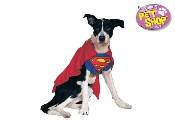 ---CuteSuperman Dog Costume