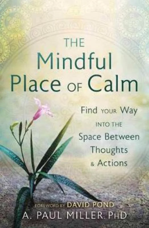  -Non-contact cat thermometerThe Mindful Place of Calm