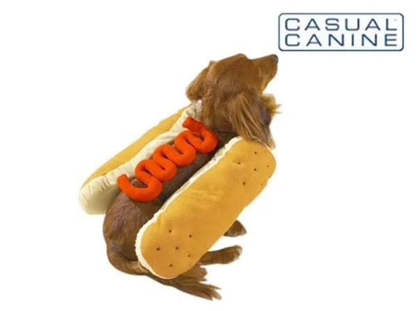 - Pet diabetes prescription foodCuteHot Diggity Dog with Ketchup Dog Costume