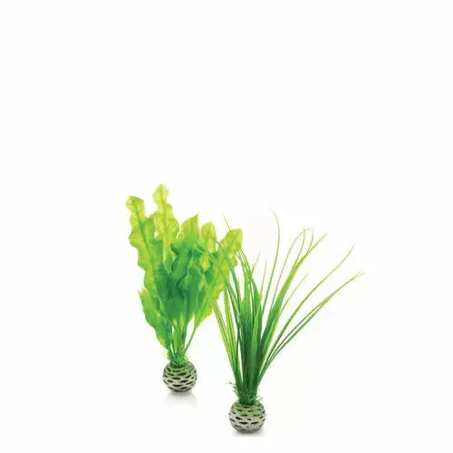 - Foldable and portable cat bagBiOrb Easy Plant Set Green Aquarium Decor