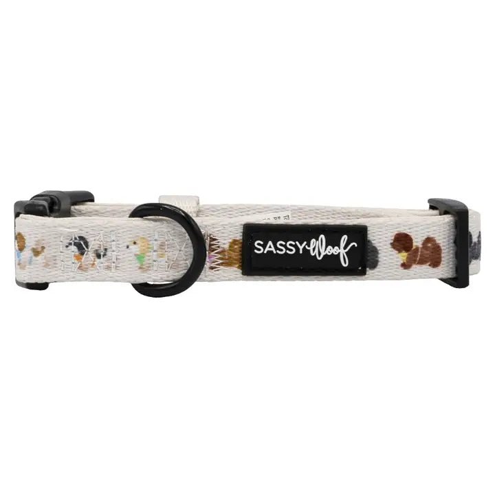 Pet ClothesSpunky Shih Tzu's Collar