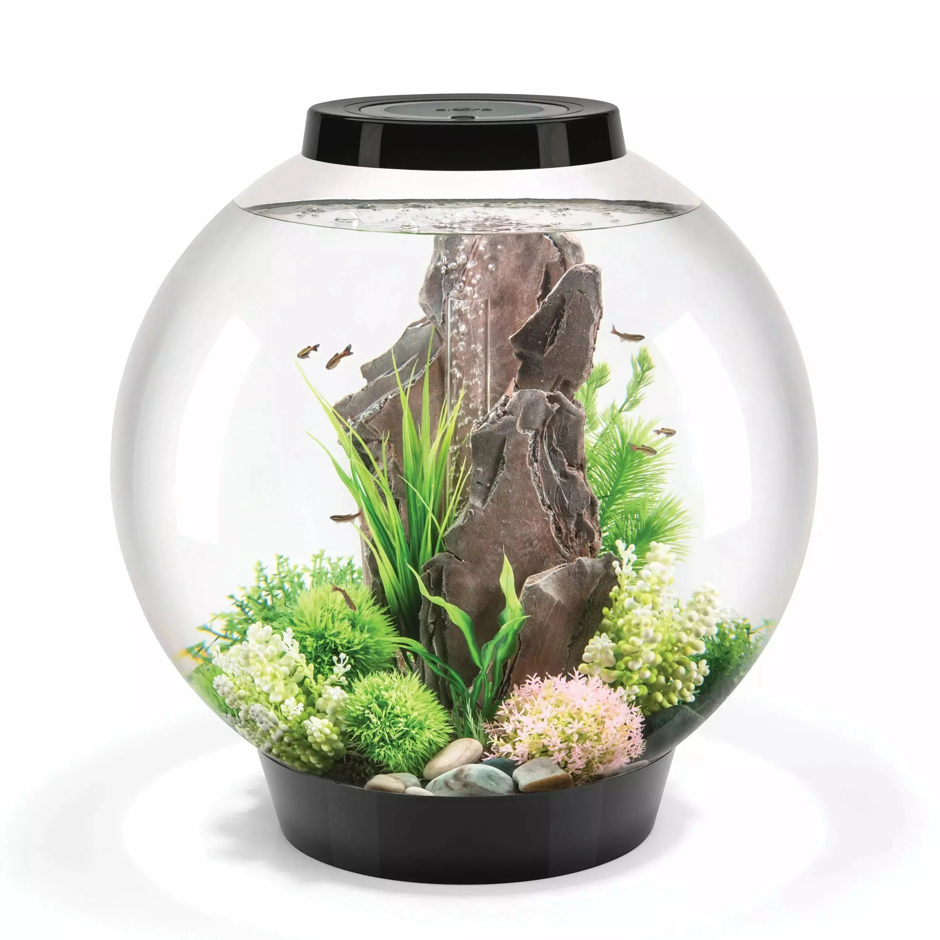 - Deodorizing cat litter tofu litterbiOrb CLASSIC 60 Aquarium with Standard Light 16 gallon