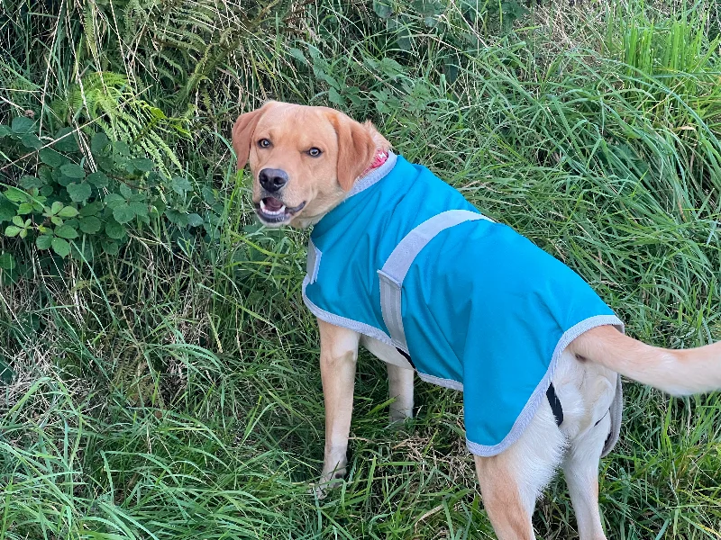 - Parrot climbing and standing wooden frameBlue/Teal (fleece lined) Waterproof Dog Coat - Parrot climbing and standing wooden frameBlue/Teal (fleece lined) Waterproof Dog Coat
