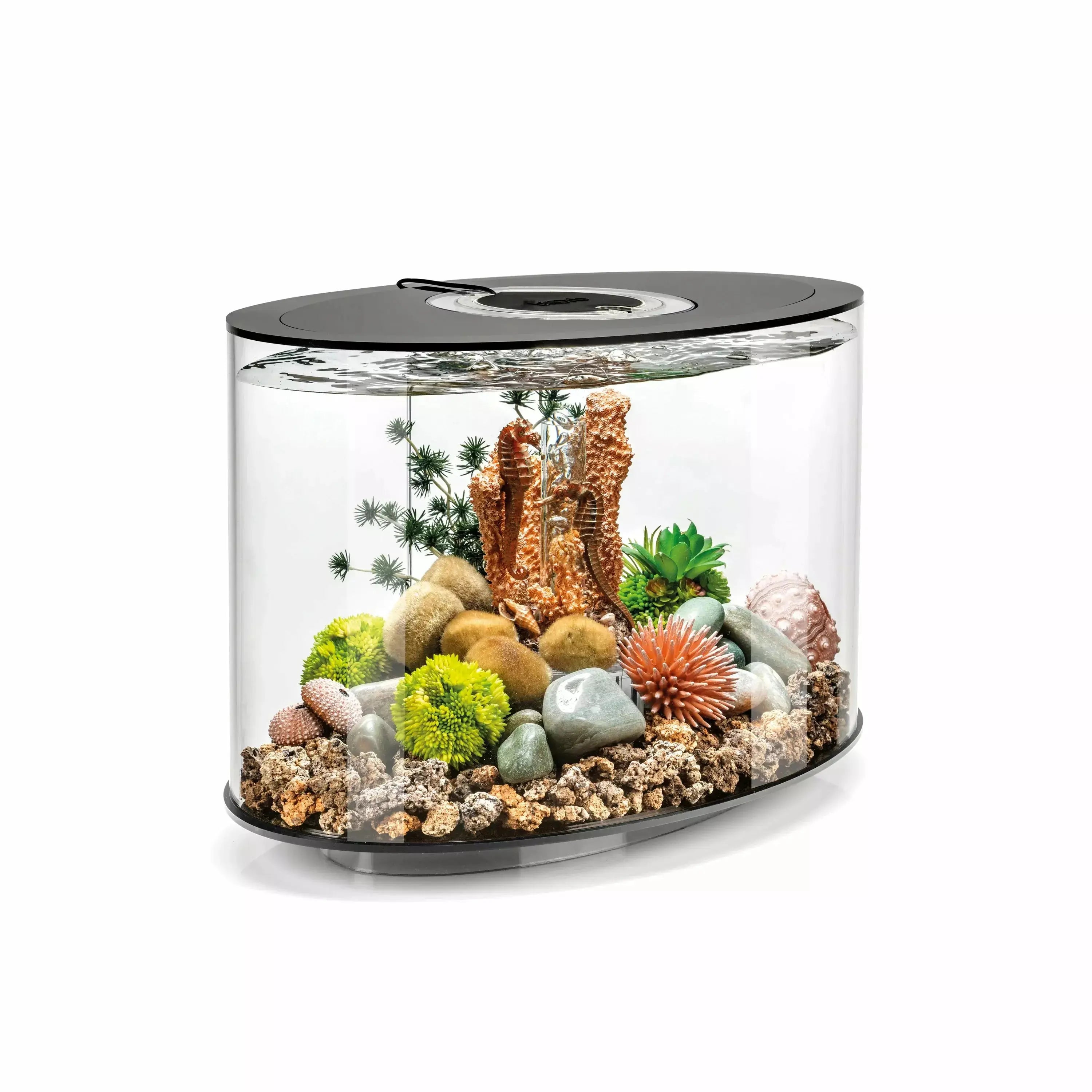 - Hamster silent running wheel to prevent chewingbiOrb LOOP 15 Aquarium with MCR Light  4 gallon