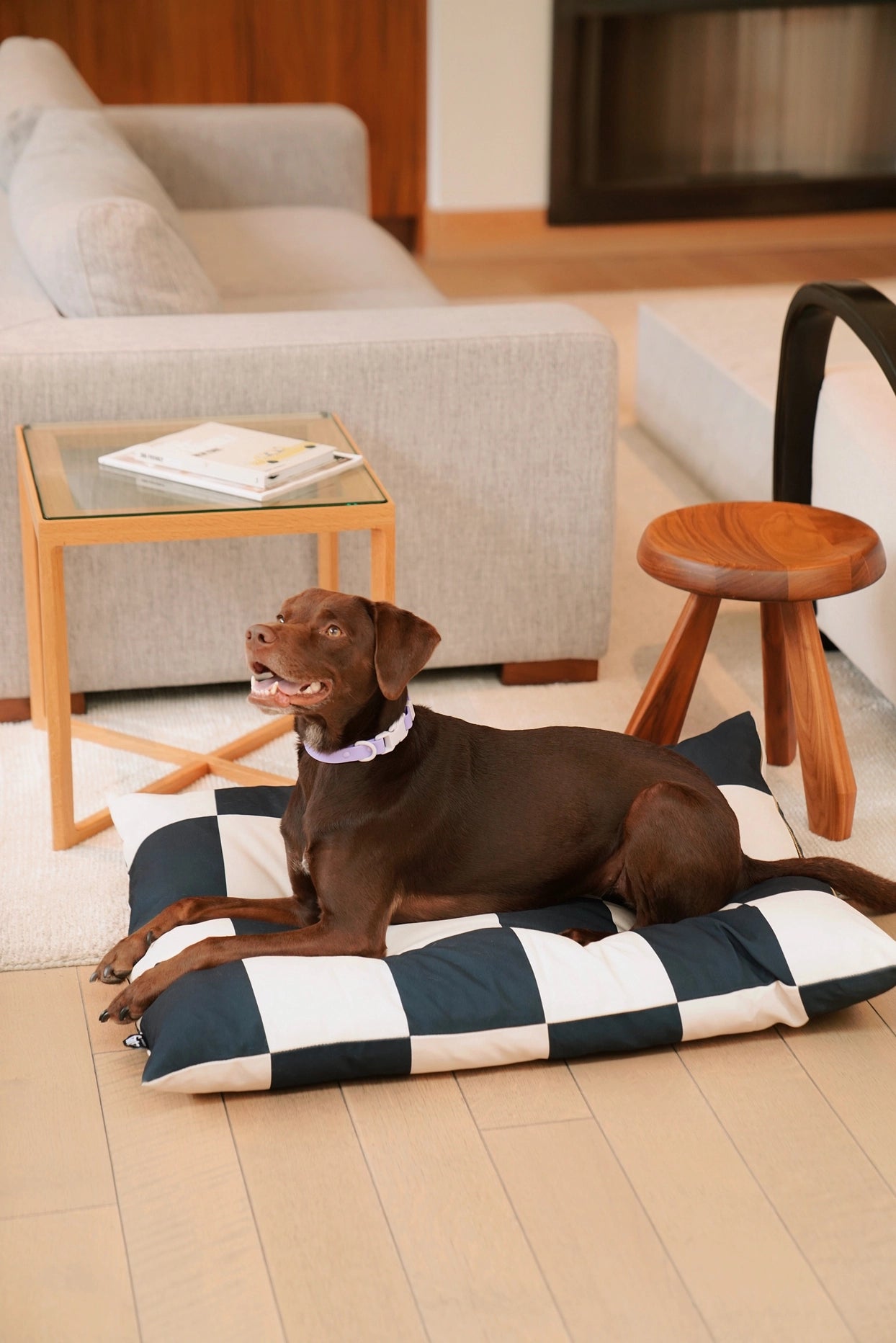  . **Dog collar is luminous and reflective**The Fritz Bed – Goalgetter