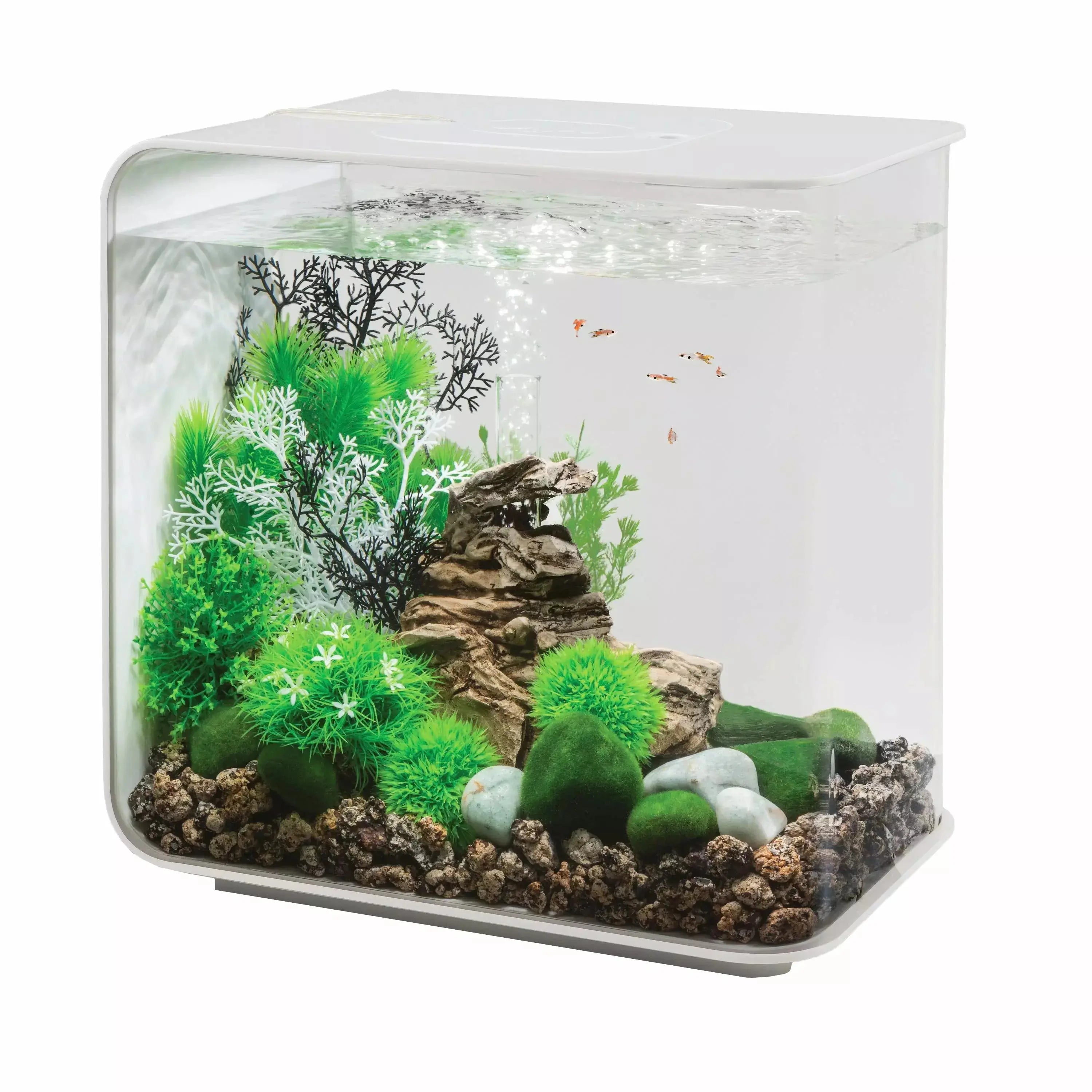 - Pet electric nail grinder silent modelbiOrb FLOW 30 Aquarium with Standard Light 8 gallon