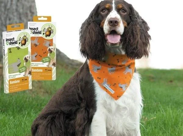 - Organic cotton dog bibsCuteInsect Shield Dog Bandana