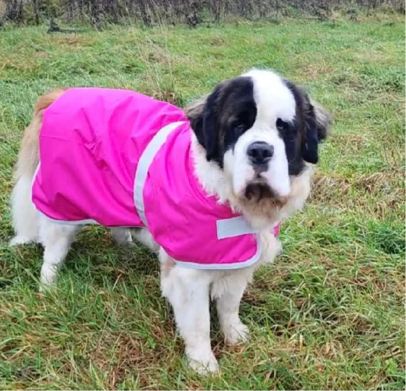 - Pet electric nail grinder silent modelPink Waterproof Dog Coat