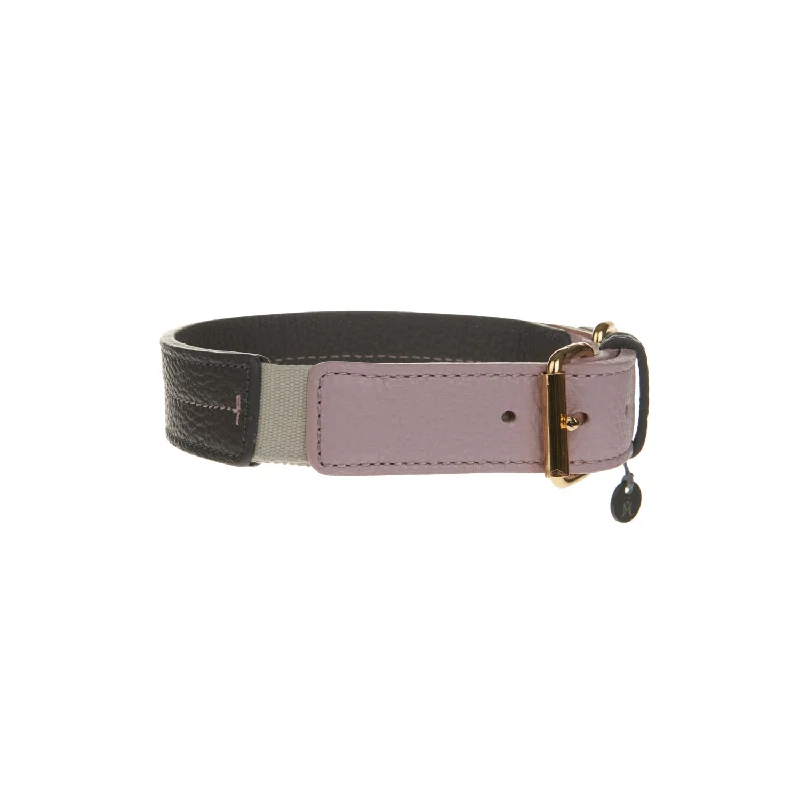  . **Dog chest harness is anti-breakaway**Bauhaus Dog Collar