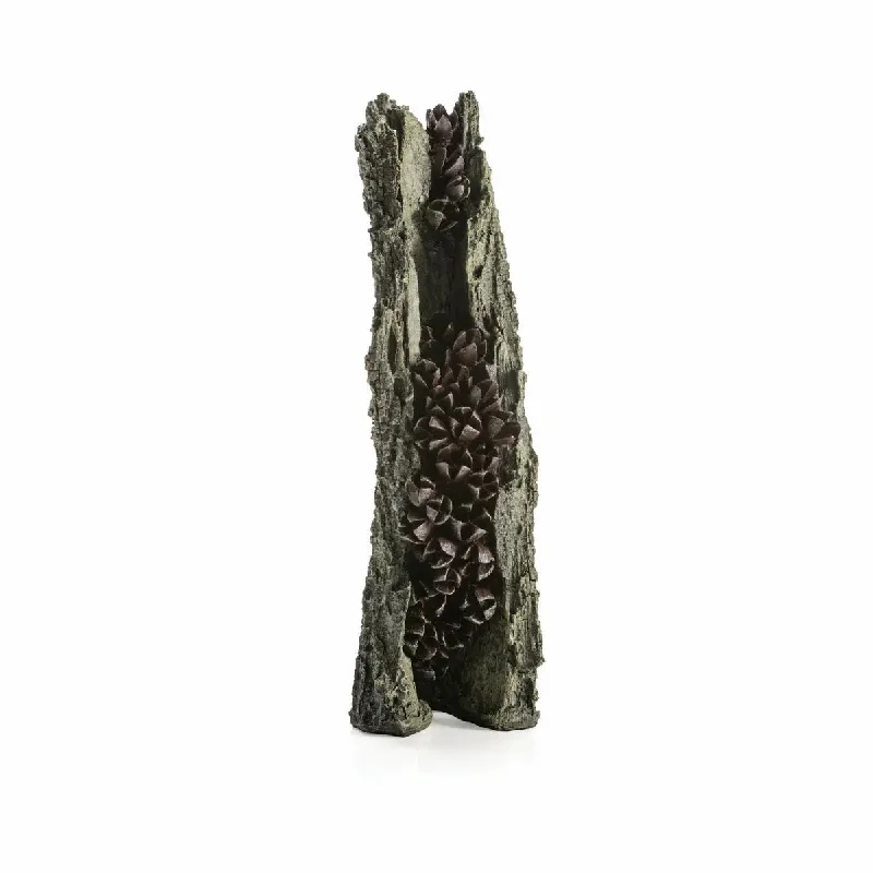 - Foldable and portable cat bagBiorb Earth Bark With Seedpod Reptile Terrarium Decor