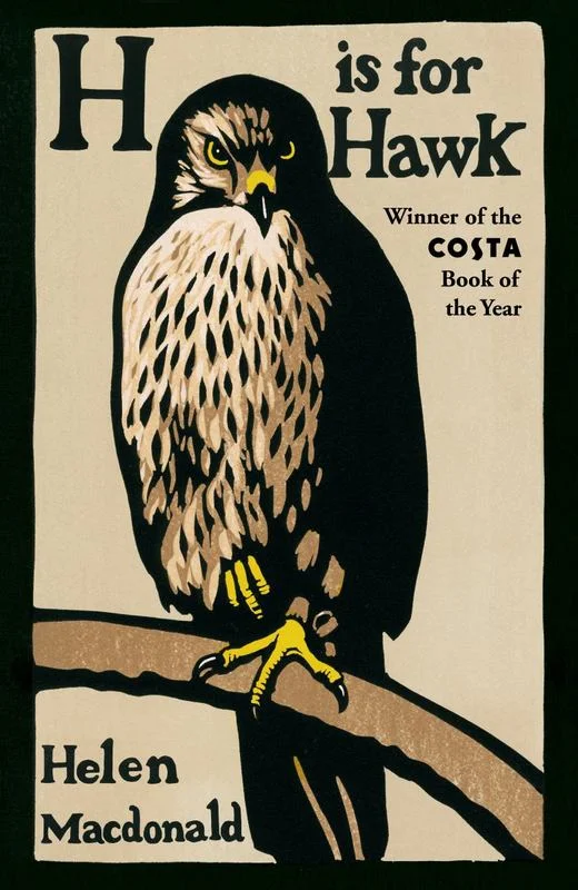 - Cat anti-jump window safety netH is for Hawk
