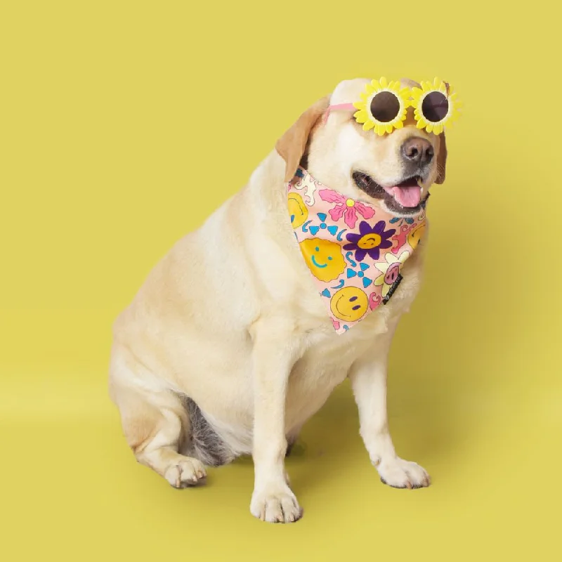 - Smart cat litter box with automatic cleaningSmileys Dog Bandana