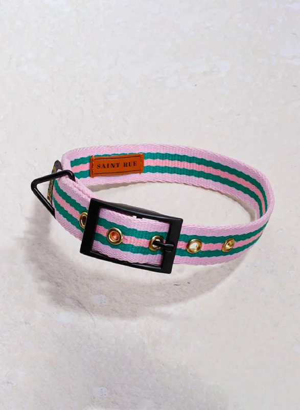  . **Cat toy cat teaser**Le Classic Dog Collar – Rue la rose
