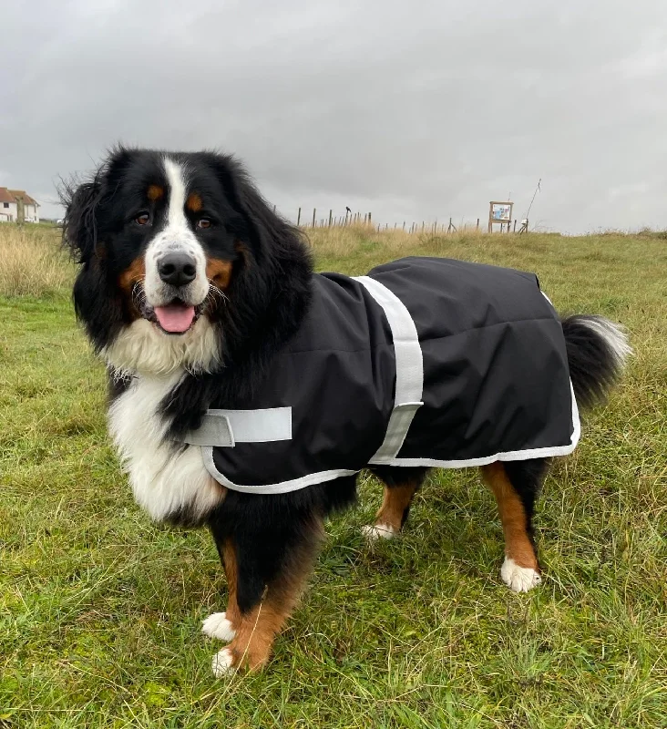  -Non-contact cat thermometerBlack Waterproof Dog Coat (no fleece or filling)
