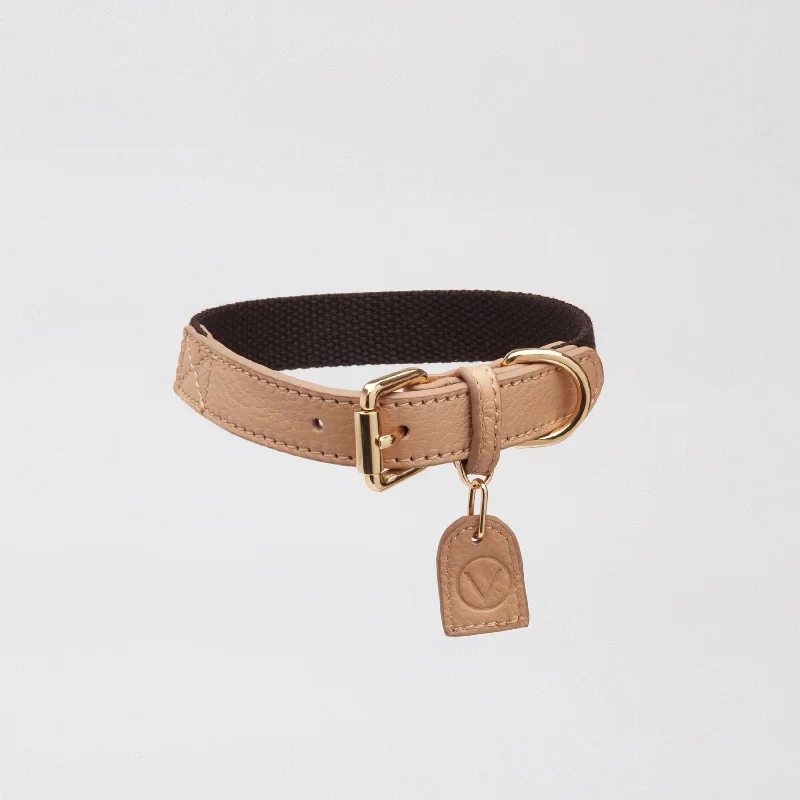 . **Dog snack bag is portable**Contrast Collar (Apricot & Black)